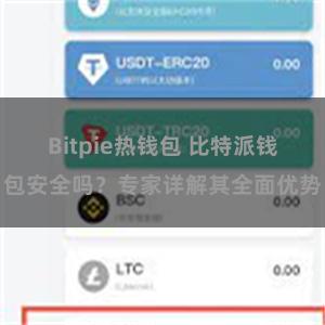 Bitpie热钱包 比特派钱包安全吗？专家详解其全面优势