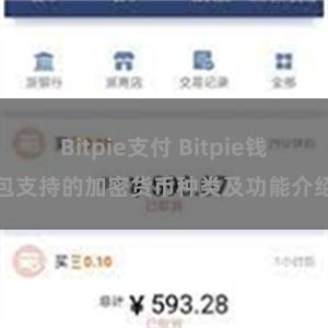 Bitpie支付 Bitpie钱包支持的加密货币种类及功能介绍