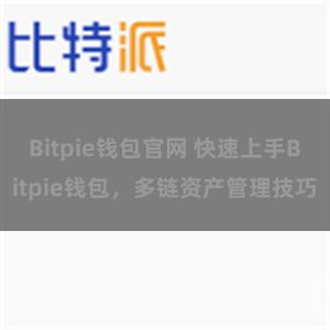 Bitpie钱包官网 快速上手Bitpie钱包，多链资产管理技巧