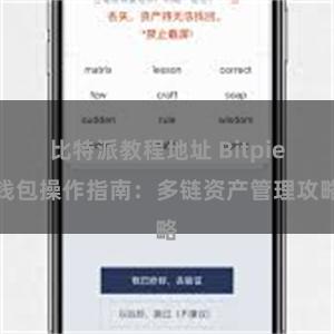 比特派教程地址 Bitpie钱包操作指南：多链资产管理攻略