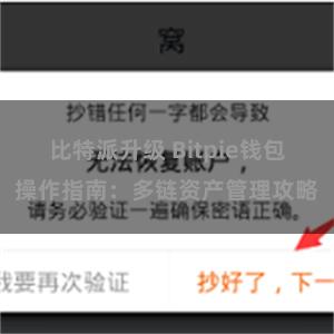 比特派升级 Bitpie钱包操作指南：多链资产管理攻略