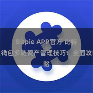 Bitpie APP官方 比特派钱包多链资产管理技巧：全面攻略