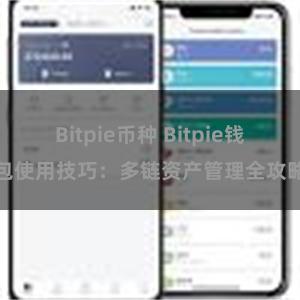 Bitpie币种 Bitpie钱包使用技巧：多链资产管理全攻略