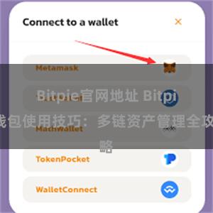 Bitpie官网地址 Bitpie钱包使用技巧：多链资产管理全攻略