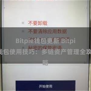 Bitpie钱包更新 Bitpie钱包使用技巧：多链资产管理全攻略