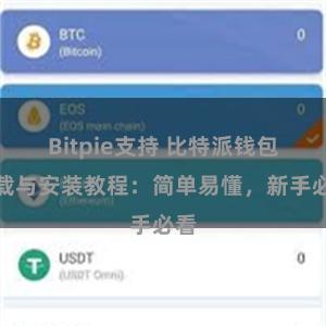 Bitpie支持 比特派钱包下载与安装教程：简单易懂，新手必看