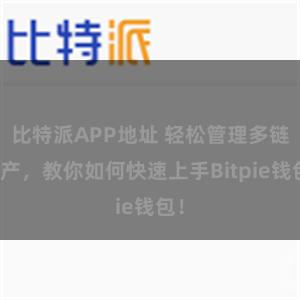 比特派APP地址 轻松管理多链资产，教你如何快速上手Bitpie钱包！