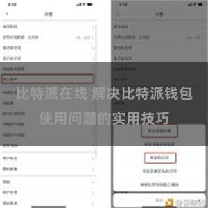 比特派在线 解决比特派钱包使用问题的实用技巧