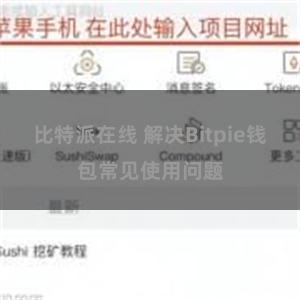 比特派在线 解决Bitpie钱包常见使用问题