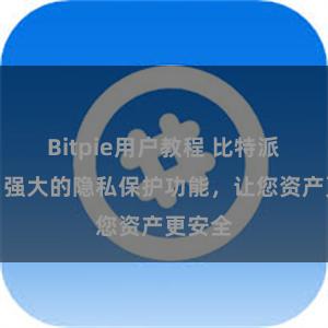 Bitpie用户教程 比特派钱包：强大的隐私保护功能，让您资产更安全