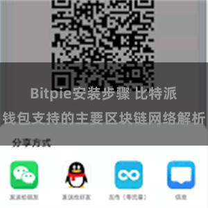 Bitpie安装步骤 比特派钱包支持的主要区块链网络解析