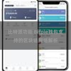 比特派功能 Bitpie钱包支持的区块链网络解析