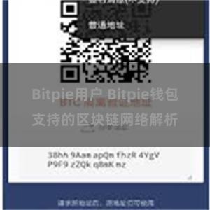 Bitpie用户 Bitpie钱包支持的区块链网络解析