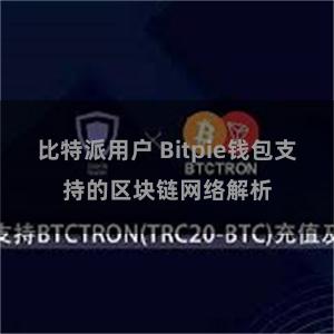 比特派用户 Bitpie钱包支持的区块链网络解析