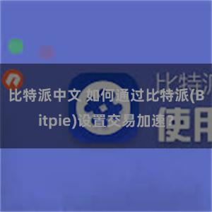 比特派中文 如何通过比特派(Bitpie)设置交易加速？