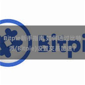 Bitpie新手指南 如何通过比特派(Bitpie)设置交易加速？