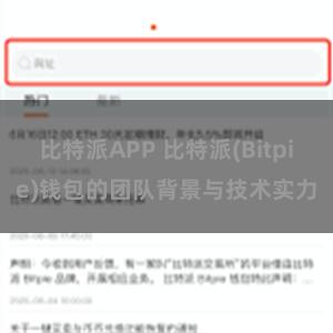 比特派APP 比特派(Bitpie)钱包的团队背景与技术实力