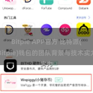 Bitpie APP官方 比特派(Bitpie)钱包的团队背景与技术实力