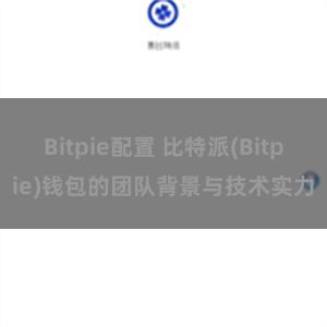 Bitpie配置 比特派(Bitpie)钱包的团队背景与技术实力