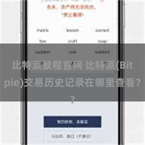 比特派教程官网 比特派(Bitpie)交易历史记录在哪里查看？