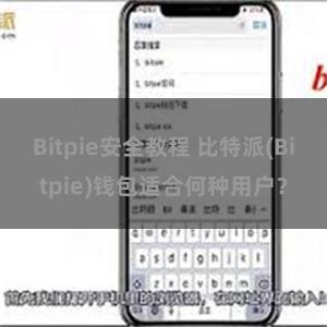 Bitpie安全教程 比特派(Bitpie)钱包适合何种用户？