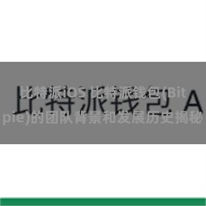 比特派iOS 比特派钱包(Bitpie)的团队背景和发展历史揭秘