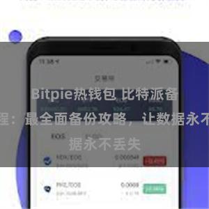 Bitpie热钱包 比特派备份教程：最全面备份攻略，让数据永不丢失