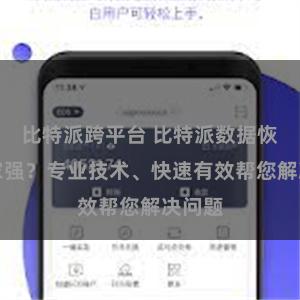 比特派跨平台 比特派数据恢复哪家强？专业技术、快速有效帮您解决问题