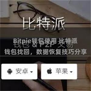 Bitpie钱包使用 比特派钱包找回，数据恢复技巧分享