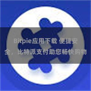 Bitpie应用下载 便捷安全，比特派支付助您畅快购物