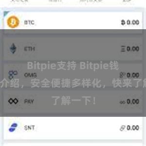Bitpie支持 Bitpie钱包功能介绍，安全便捷多样化，快来了解一下！