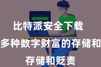 比特派安全下载  撑握多种数字财富的存储和贬责