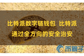 比特派数字链钱包  比特派通过全方向的安全治安