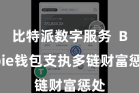 比特派数字服务  Bitpie钱包支执多链财富惩处